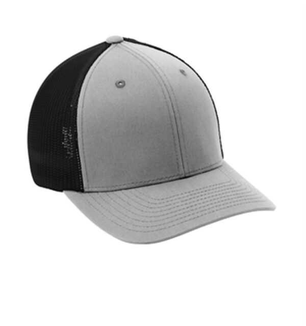 Silver / Black PMS 429C C812 - Image 2