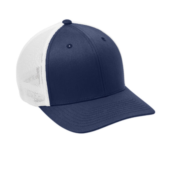 True Navy / White PMS 533C C812 - Image 2